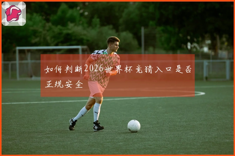 如何判断2026世界杯竞猜入口是否正规安全