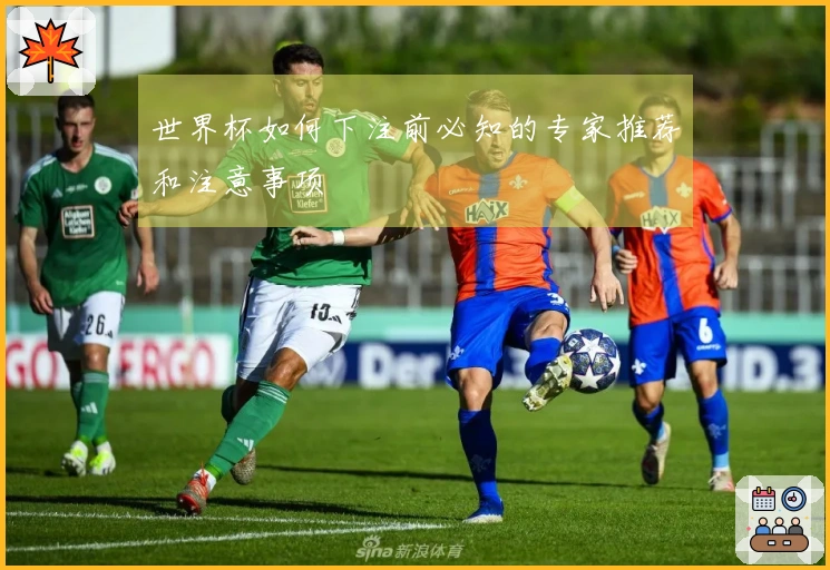 世界杯如何下注前必知的专家推荐和注意事项