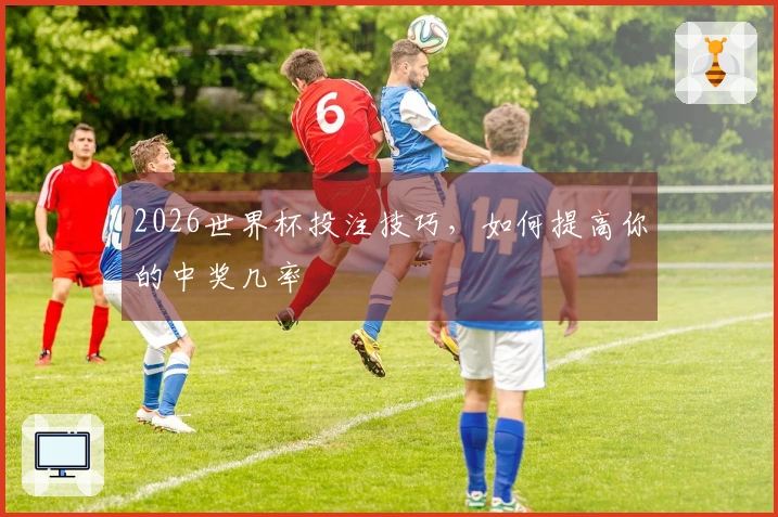 2026世界杯投注技巧,如何提高你的中奖几率
