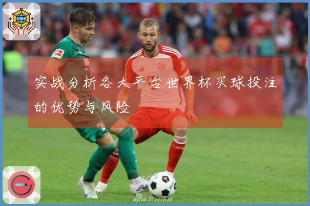 实战分析各大平台世界杯买球投注的优势与风险