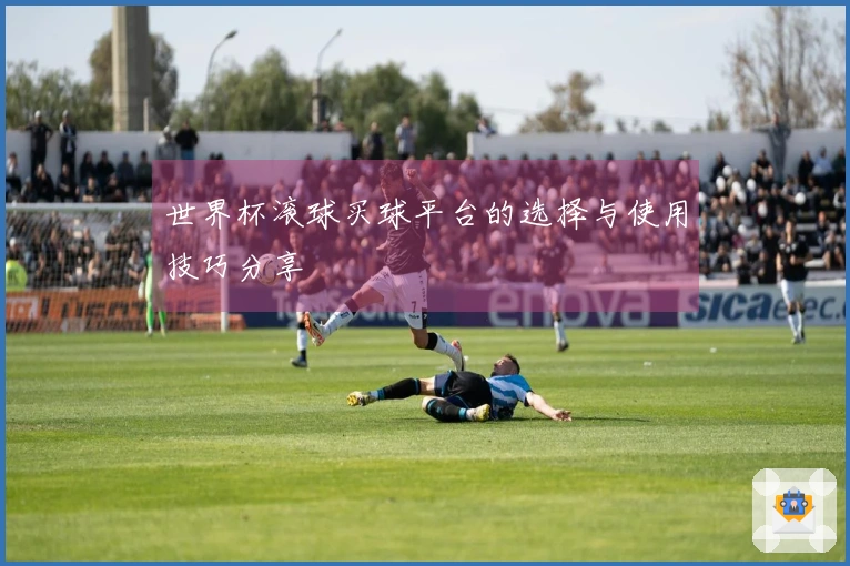 世界杯滚球买球平台的选择与使用技巧分享