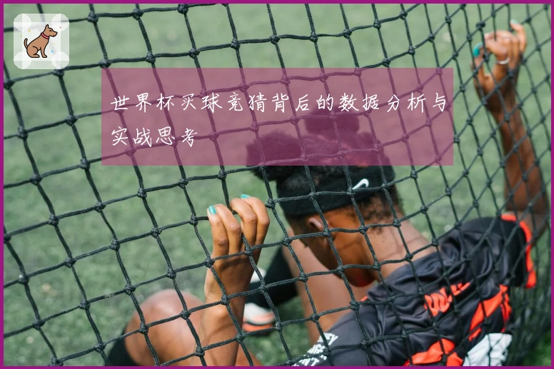 世界杯买球竞猜背后的数据分析与实战思考