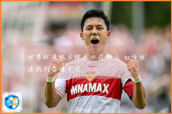 世界杯滚球买球入口在哪儿 如何快速找到靠谱平台