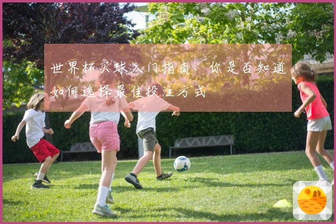 世界杯买球入门指南，你是否知道如何选择最佳投注方式