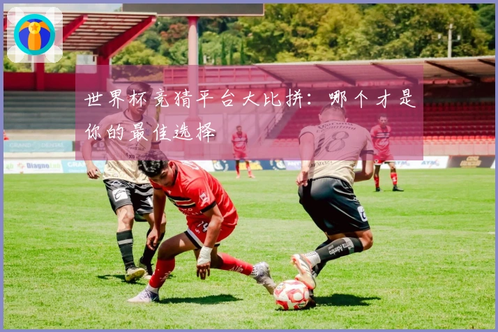 世界杯竞猜平台大比拼：哪个才是你的最佳选择