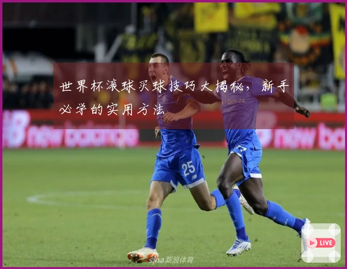世界杯滚球买球技巧大揭秘，新手必学的实用方法
