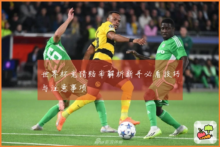 世界杯竞猜赔率解析新手必看技巧与注意事项