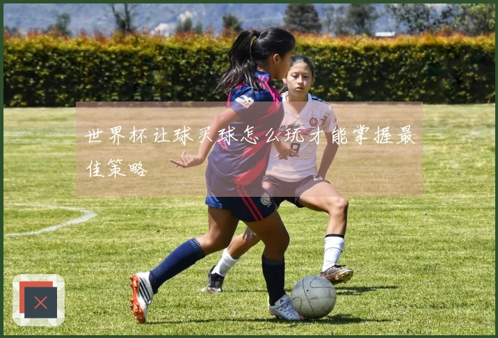 世界杯让球买球怎么玩才能掌握最佳策略