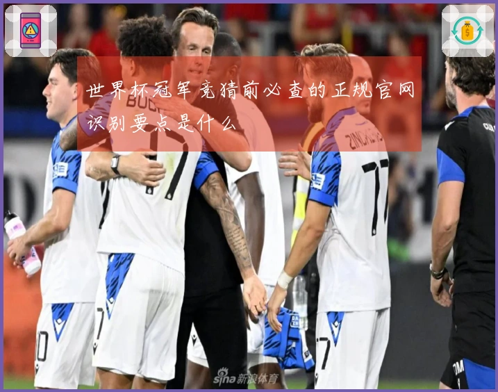 世界杯冠军竞猜前必查的正规官网识别要点是什么