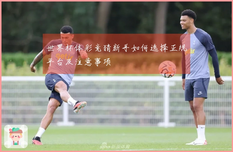 世界杯体彩竞猜新手如何选择正规平台及注意事项
