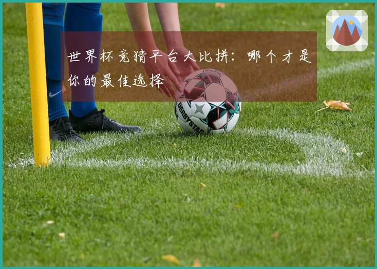 世界杯竞猜平台大比拼：哪个才是你的最佳选择