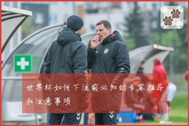 世界杯如何下注前必知的专家推荐和注意事项