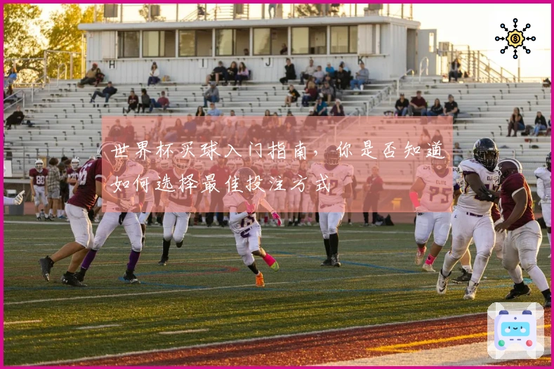 世界杯买球入门指南，你是否知道如何选择最佳投注方式