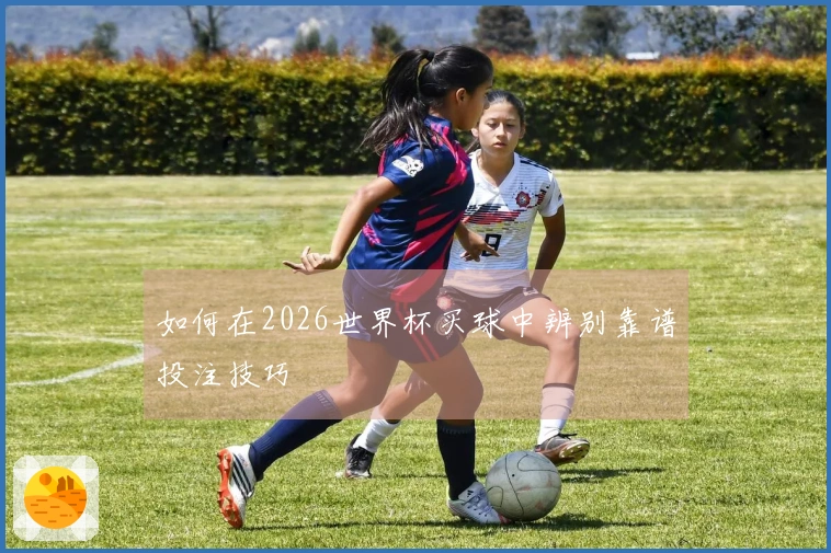 如何在2026世界杯买球中辨别靠谱投注技巧