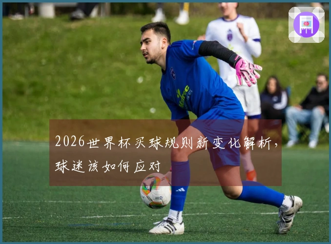 2026世界杯买球规则新变化解析,球迷该如何应对