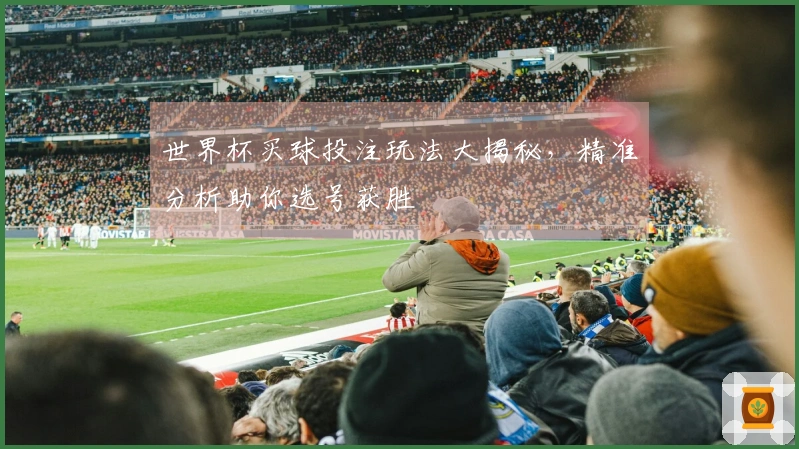 世界杯买球投注玩法大揭秘，精准分析助你选号获胜