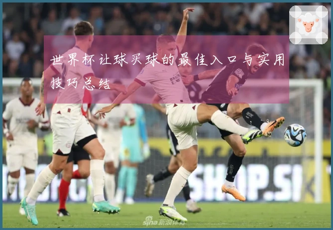 世界杯让球买球的最佳入口与实用技巧总结