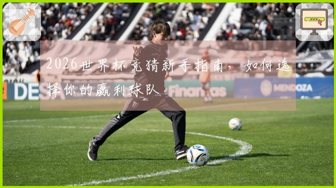 2026世界杯竞猜新手指南，如何选择你的赢利球队