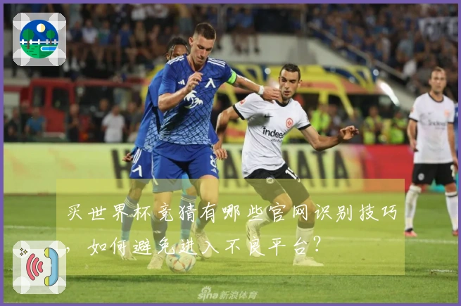 买世界杯竞猜有哪些官网识别技巧，如何避免进入不良平台？