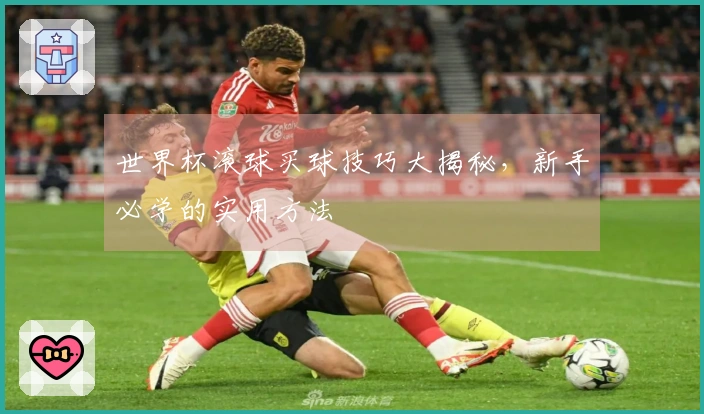 世界杯滚球买球技巧大揭秘，新手必学的实用方法