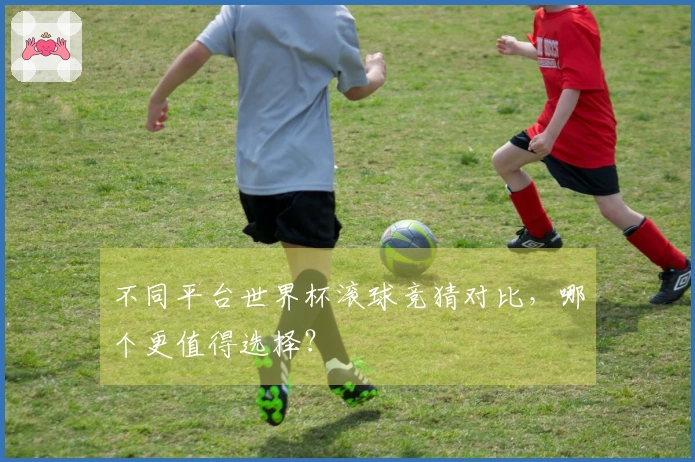 不同平台世界杯滚球竞猜对比，哪个更值得选择？