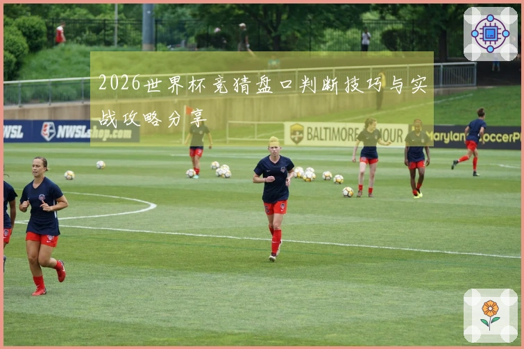 2026世界杯竞猜盘口判断技巧与实战攻略分享